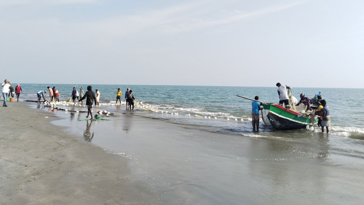 সেন্টমার্টিনে প্রকৃতির অবিশ্বাস্য পুনর্জাগরণ, সংকটে জনজীবন