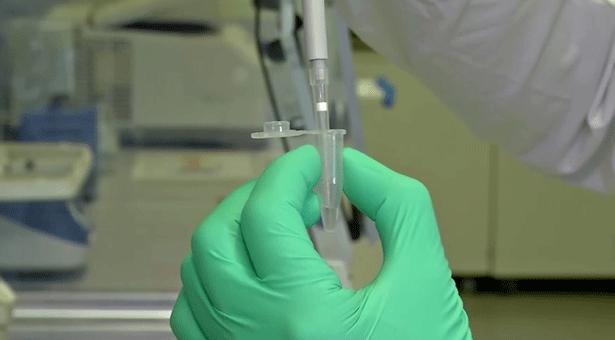 ইসরায়েল। তারা বলেছেন, করোনার ভ্যাকসিন তৈরি করে ফেলেছে তারা। আর দু’এক সপ্তাহের মধ্যে তারা করোনাভাইরাসের ভ্যাকসিন বা টিকা হাতে পেয়ে যাবেন।