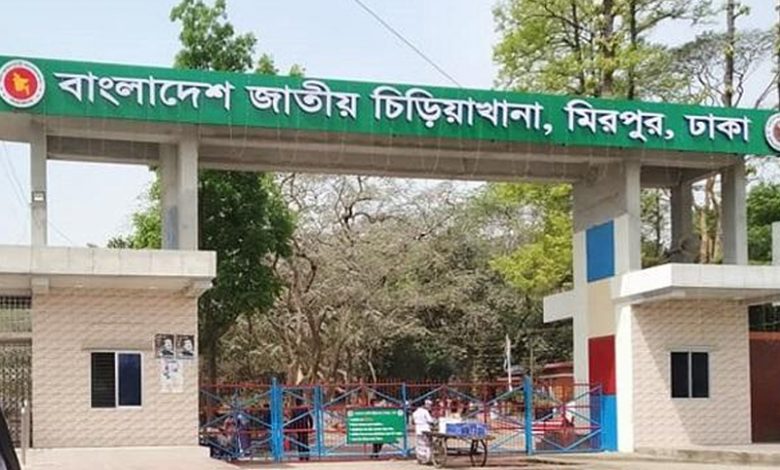 অনির্দিষ্টকালের জন্য বন্ধ মিরপুর ও রংপুর চিড়িয়াখানা