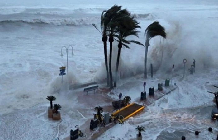 ঘূর্ণিঝড় তাওকতের তাণ্ডবে মহারাষ্ট্রে ৬ জনের মৃত্যু