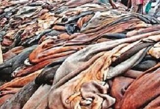 কোরবানির পশুর কাঁচা চামড়ার দাম নির্ধারণ করেছে সরকার