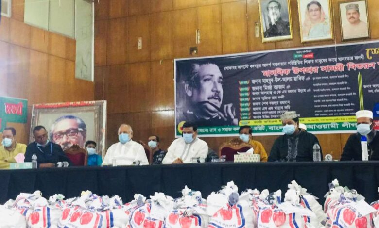 করোনায় সরকারের সমালোচনা করা ছাড়া বিএনপির কোনো কাজ নেই: হানিফ