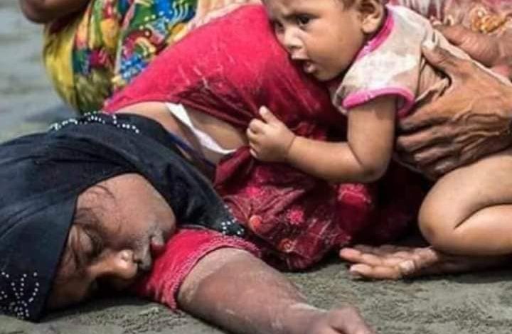 মিয়ানমারে রোহিঙ্গাদের ওপর সহিংসতাকে গণহত্যার স্বীকৃতি