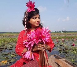 লাল শাপলার বিল