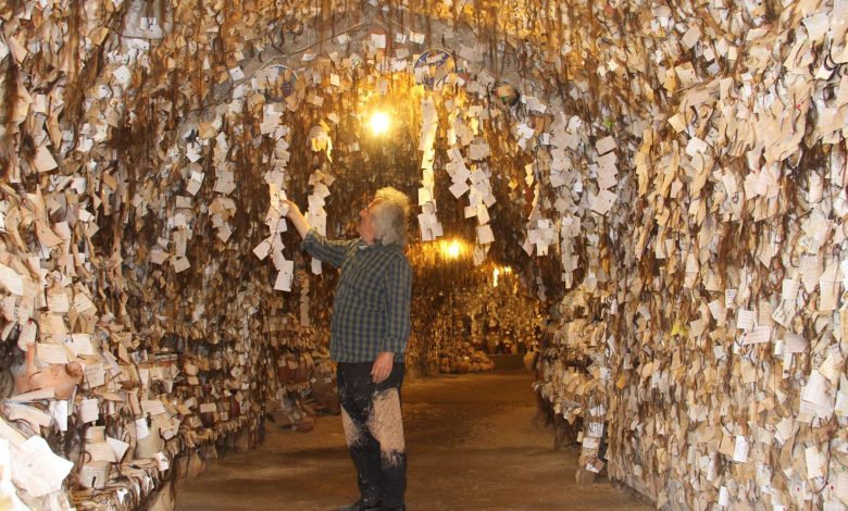 অ্যাভানোস হেয়ার মিউজিয়াম