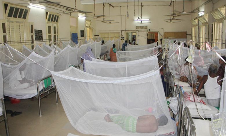 ২৪ ঘণ্টায় ডেঙ্গু জ্বরে আক্রান্ত হয়ে ১২০ জন নতুন রোগী হাসপাতালে