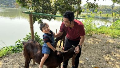 বিশ্ব বাবা দিবস আজ