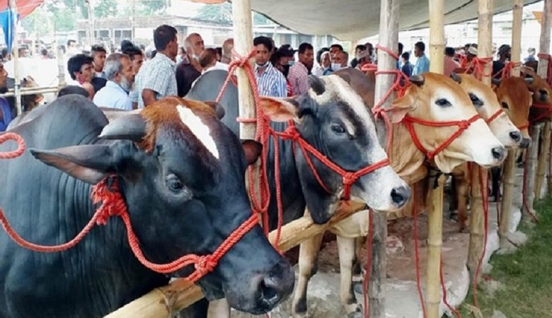 সারাদেশে এক কোটি ৪১ হাজার পশু কোরবানি