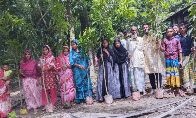 সবুজ আন্দোলোন