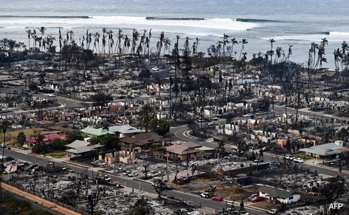 হাওয়াইয়ে দাবানলে মৃত বেড়ে ৮৯, বাড়ছে ক্ষোভ