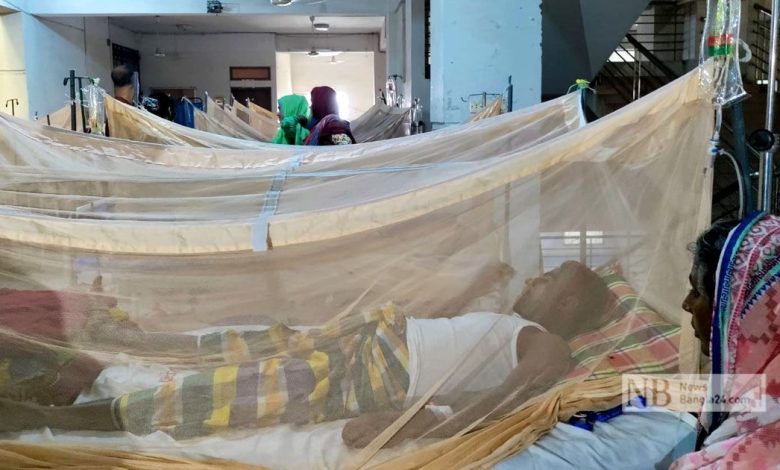 ডেঙ্গুতে আরও ১৪ মৃত্যু, হাসপাতালে ১৫৯৪