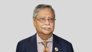 ইন্দোনেশিয়ার উদ্দেশে ঢাকা ছাড়লেন রাষ্ট্রপতি