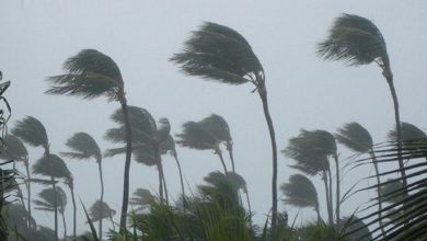 ৭ অঞ্চলে ৬০ কিমি বেগে ঝড়ের আভাস