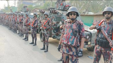 সারা দেশে ২২৯ প্লাটুন বিজিবি মোতায়েন