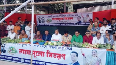রাজধানীতে সবজি বিক্রি করছে আওয়ামী লীগের তিন সংগঠন