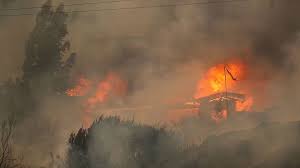 ভয়াবহ দাবানলে চিলিতে নিহত ৪৬, নিখোঁজ আরও ২০০