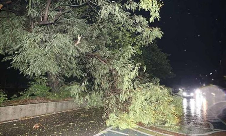 রাজধানীতে ঝড়ে ওয়াল ভেঙে ঘুমন্ত নারীর মৃত্যু