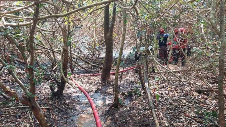 সুন্দরবনে অগ্নিকাণ্ডের ঘটনায় ১১ নাগরিকের উদ্বেগ