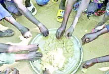 সুদানে খাদ্য সংকট: ঘাস খাচ্ছে মানুষ