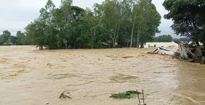 বন্যায় প্রাণহানি বেড়ে ৬৭