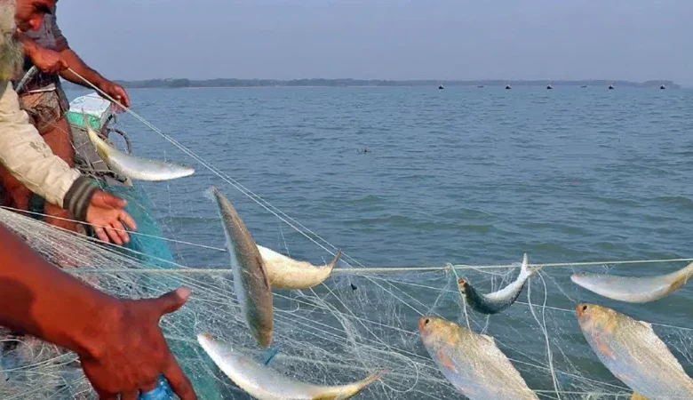 ইলিশ ধরায় নিষেধাজ্ঞা শুরু