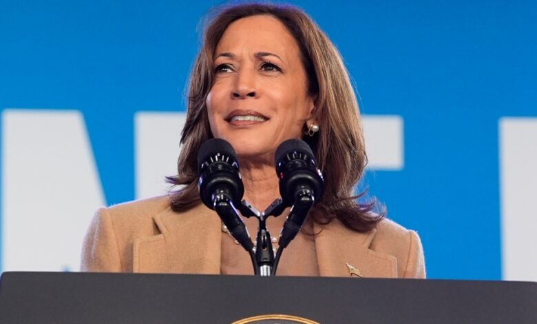 নিউইয়র্কে ফিরলেন কমলা