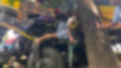 সীতাকুণ্ডে গাছের সঙ্গে গরুবাহী ট্রাকের ধাক্কা, নিহত ২