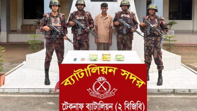 টেকনাফ সীমান্তে বিজিবির অভিযানে ৪ লাখ ৫০ হাজার পিস ইয়াবা ও ৩ কেজি আইস জব্দ, আটক ১