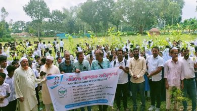 সিংড়ায় শিক্ষার্থীদের মাঝে অনিরুদ্ধ আশরাফ ফাউন্ডেশনের চারা বিতরণ